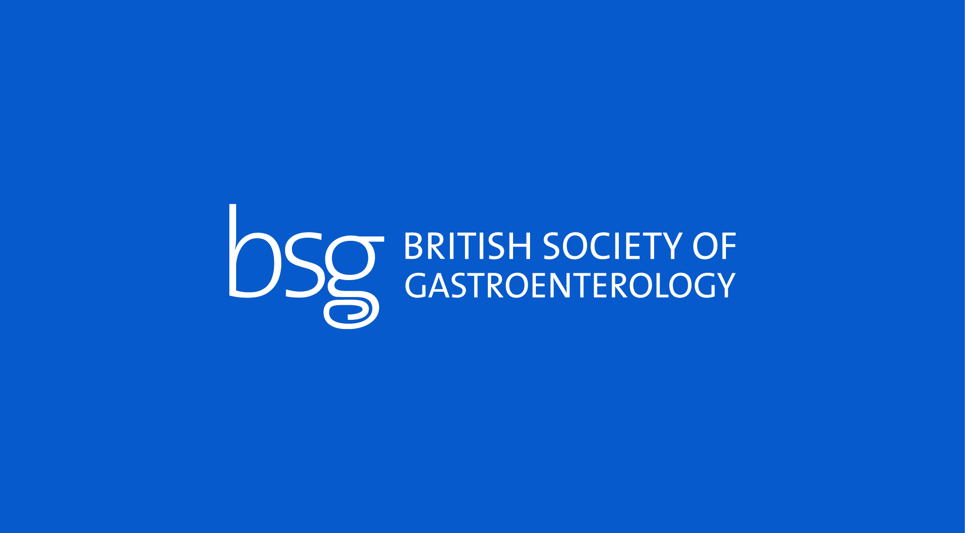 BSG logo